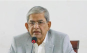 সংসদে তারেকের দপ্তর সামলাবেন ফখরুল, প্রতিরক্ষায় সালাহউদ্দিন